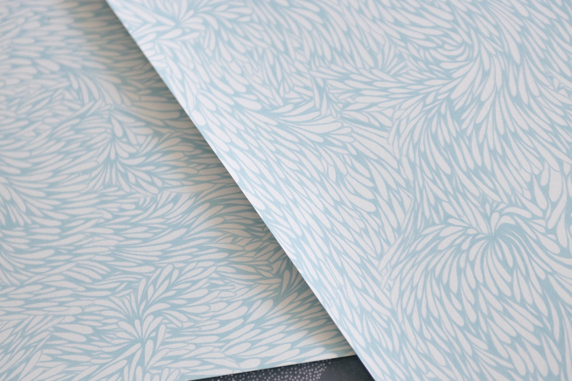 Feather Wallpaper By Poppy - 6 Colors – Poppy Print Studio